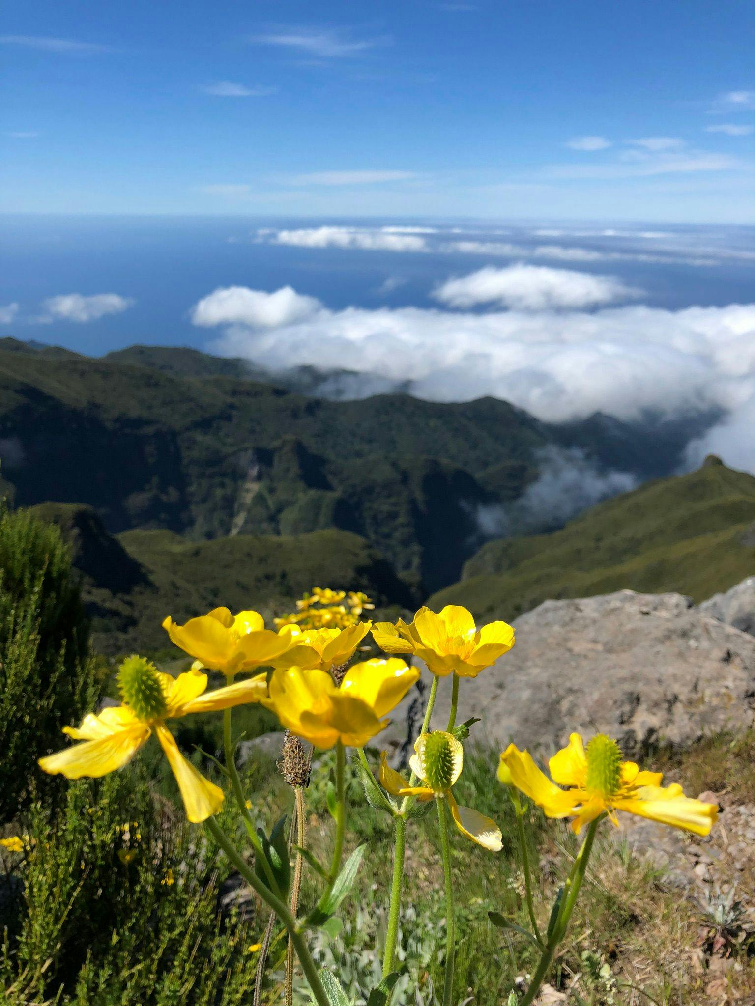 Image 1 of Hike from Pico do Areiro to Pico Ruivo.