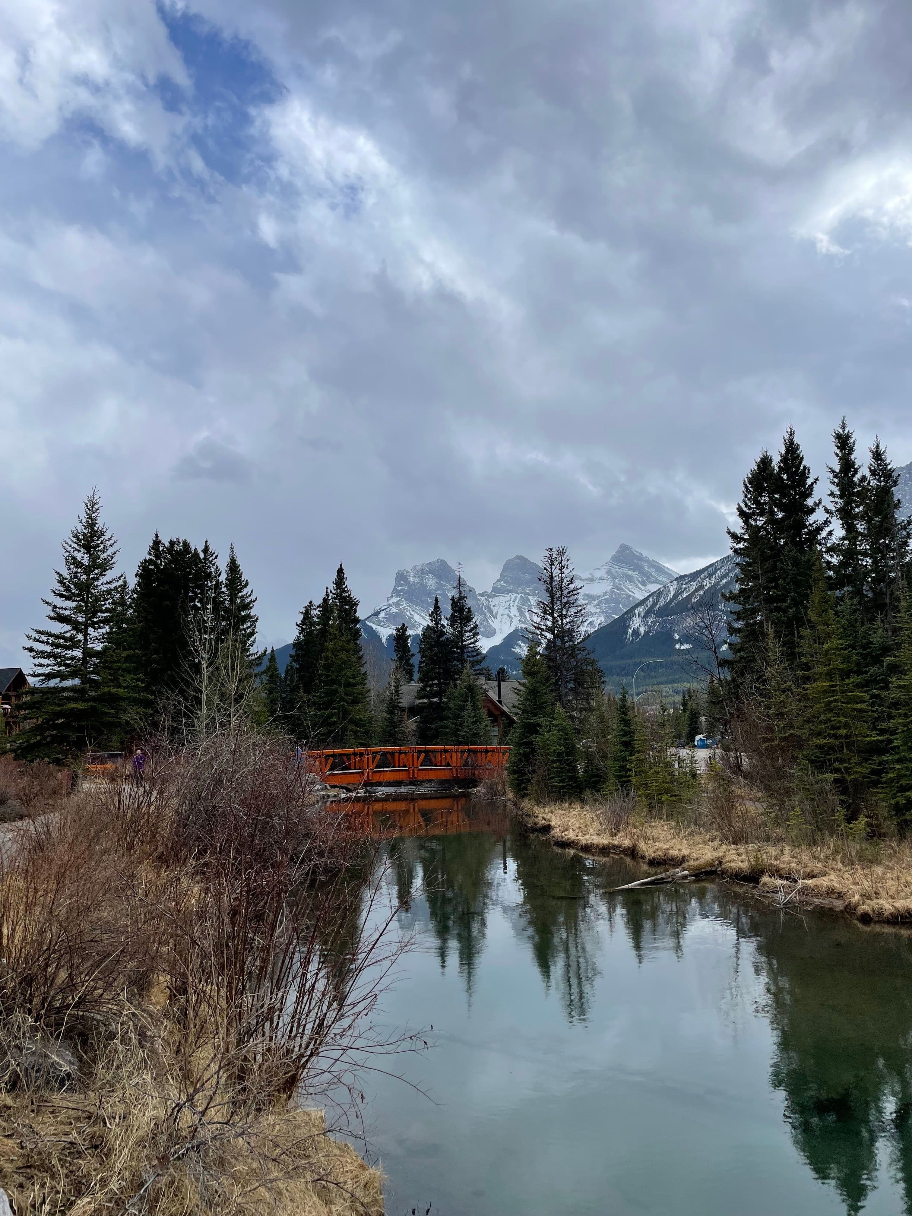 Image 2 of Bow River Walk.