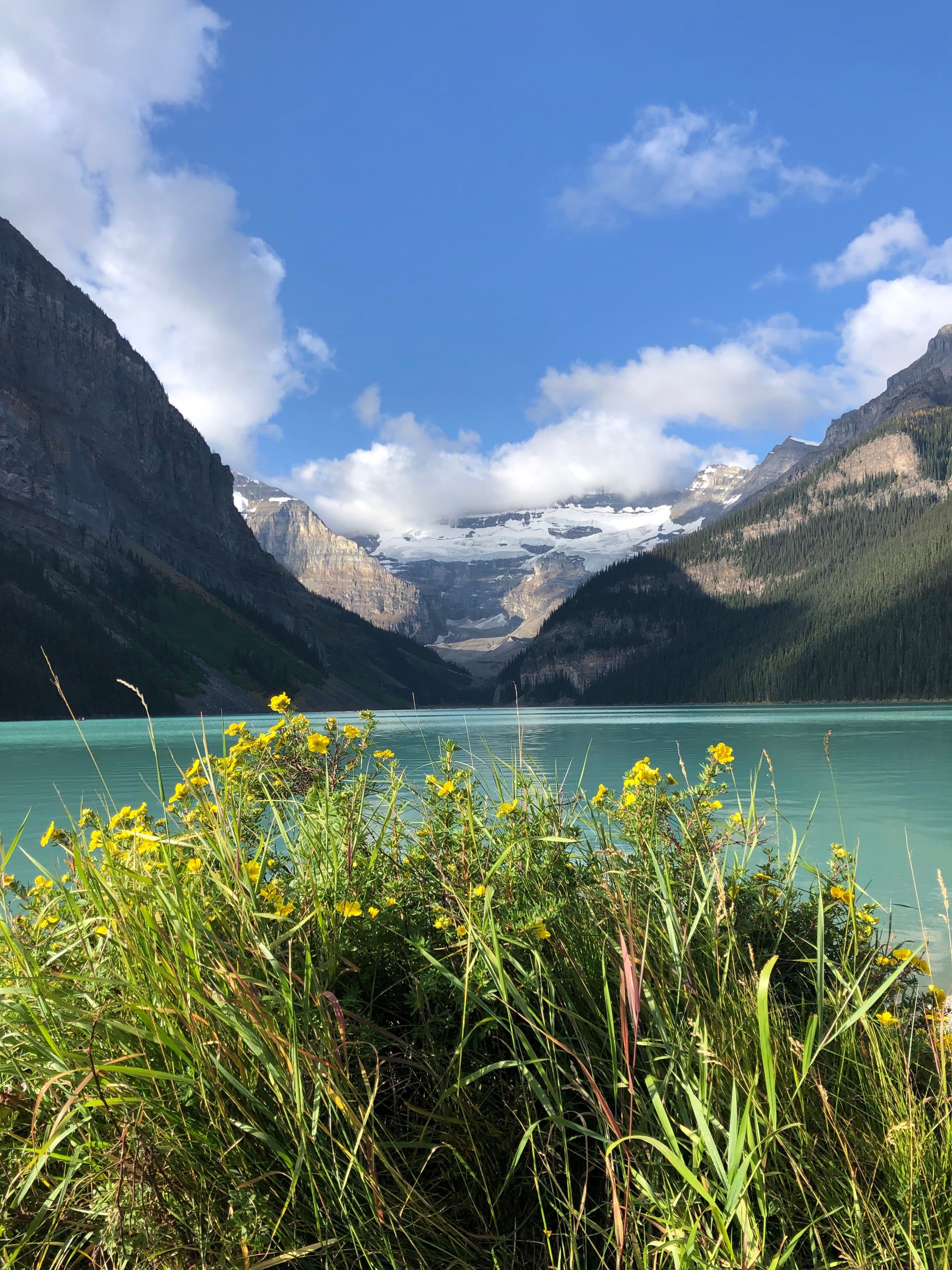 Image 6 of Walk the Lake Louise Lakeshore Trail .