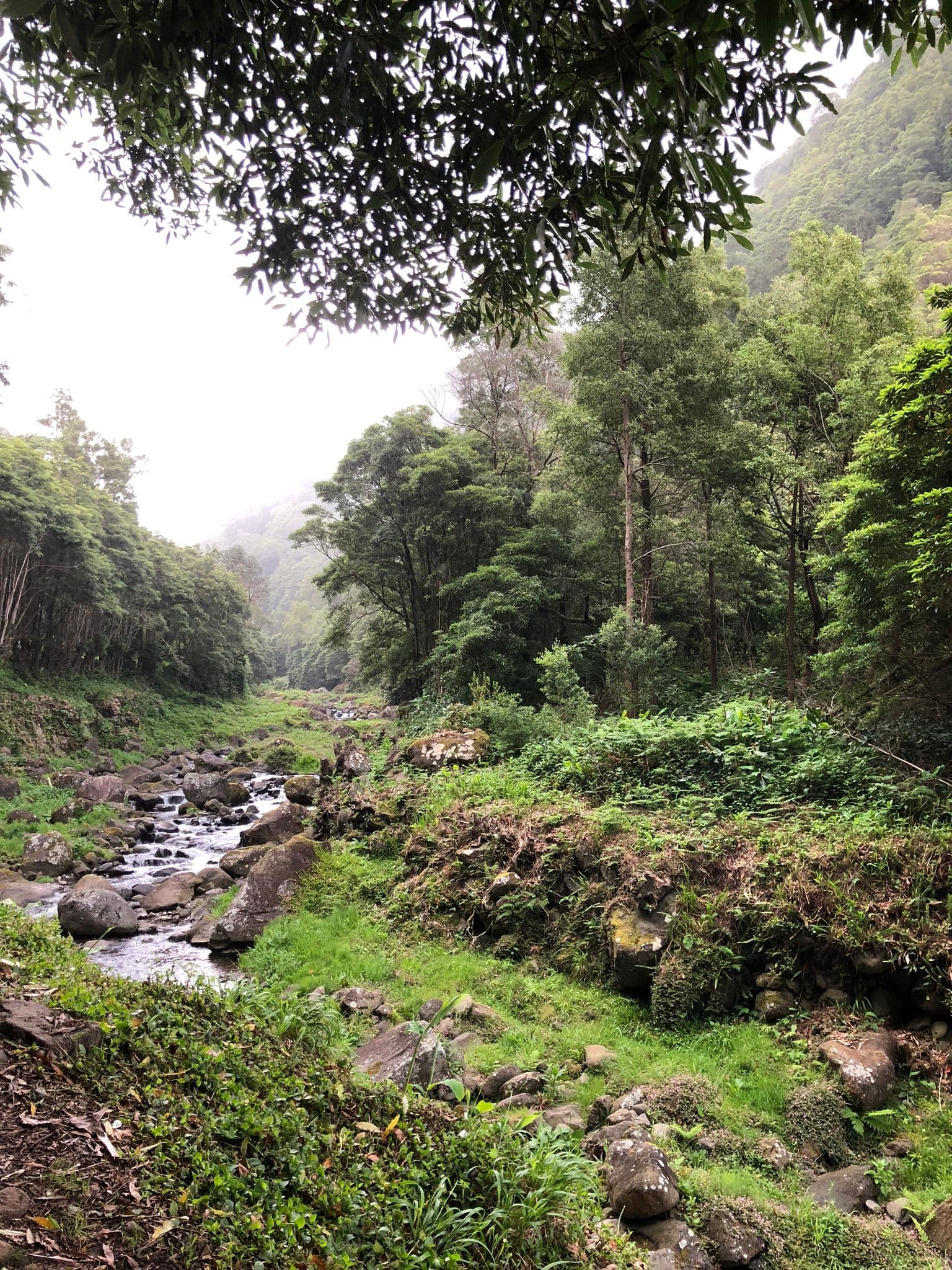 Image 4 of Cascata do Salto do Prego.